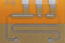 Using gene scissors to detect diseases
