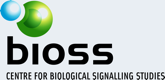 CIBSS